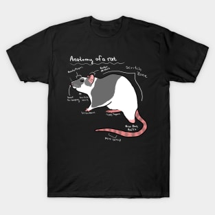 Anatomy of a rat T-Shirt